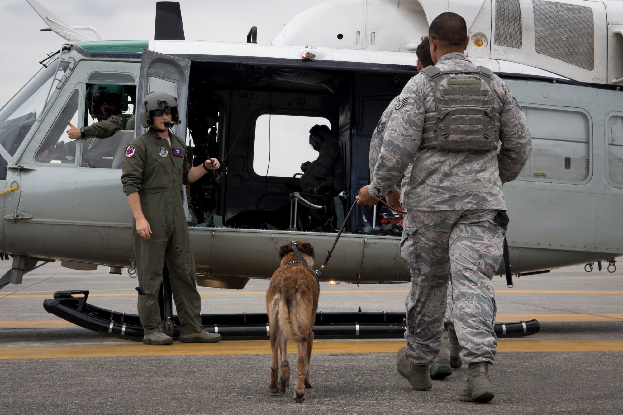 Staff Sgt. Michael Dacoron, 374th Security Forces Squadron military working dog handler, leads Diesel, 374 SFS MWD, onto a UH-1N helicopter during a 459th Airlift Squadron MWD familiarization flight, July 26, 2018, at Yokota Air Base, Japan.