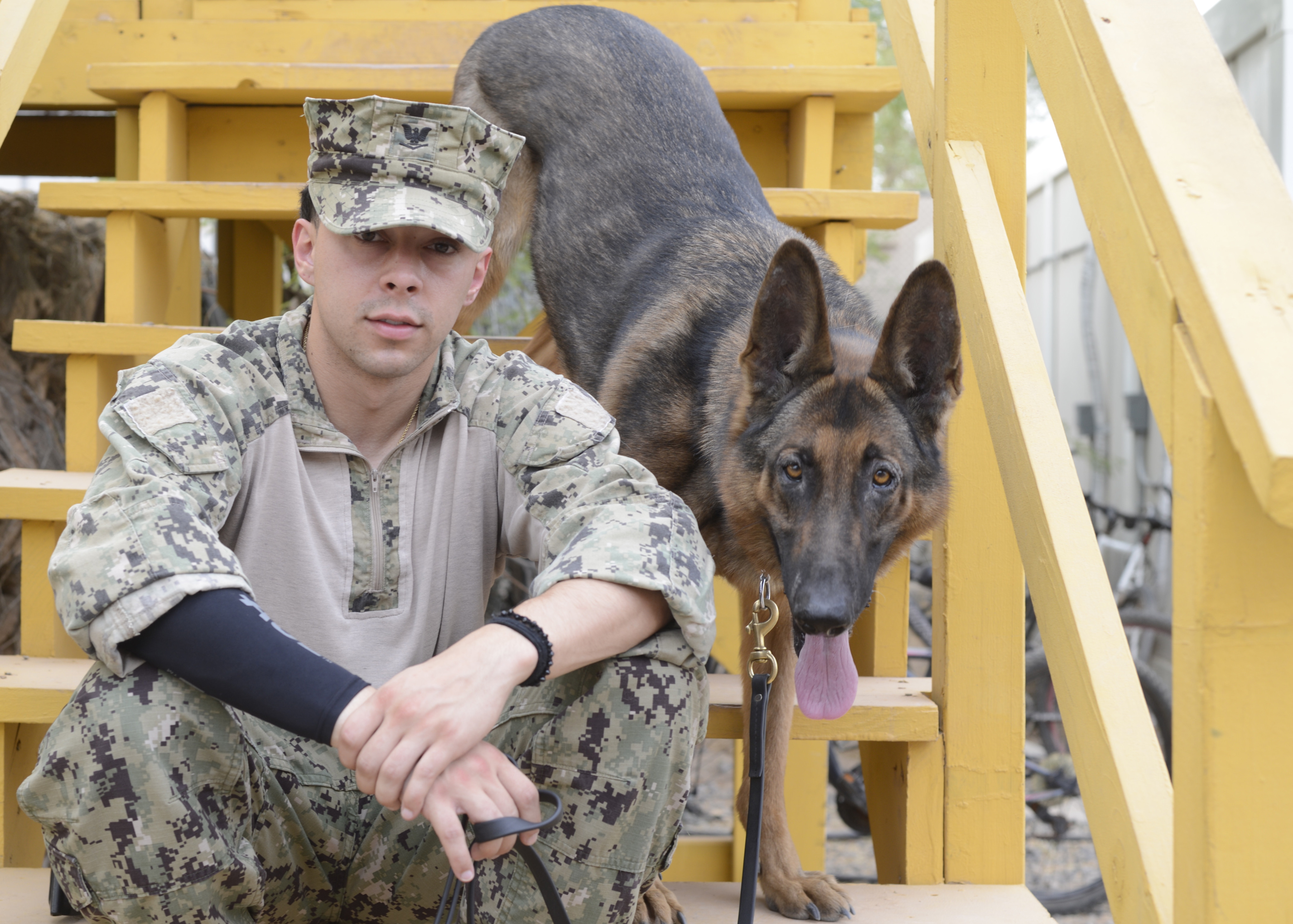 Rex Goes Home Military Working Dog to Receive Cancer Treatment > U.S. Department of Defense