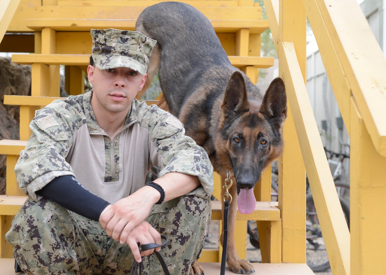 Military Working Dog T-401, also known as Rex, poses with his handler, Navy Petty Officer 3rd Class Jordon Fuentes, at Camp Lemonnier, Djibouti, July 24, 2018. Rex is scheduled to redeploy in early August after being diagnosed with skin cancer. Fuentes, a master-at-arms, will redeploy with Rex. Navy photo by Petty Officer 1st Class Joseph Rullo