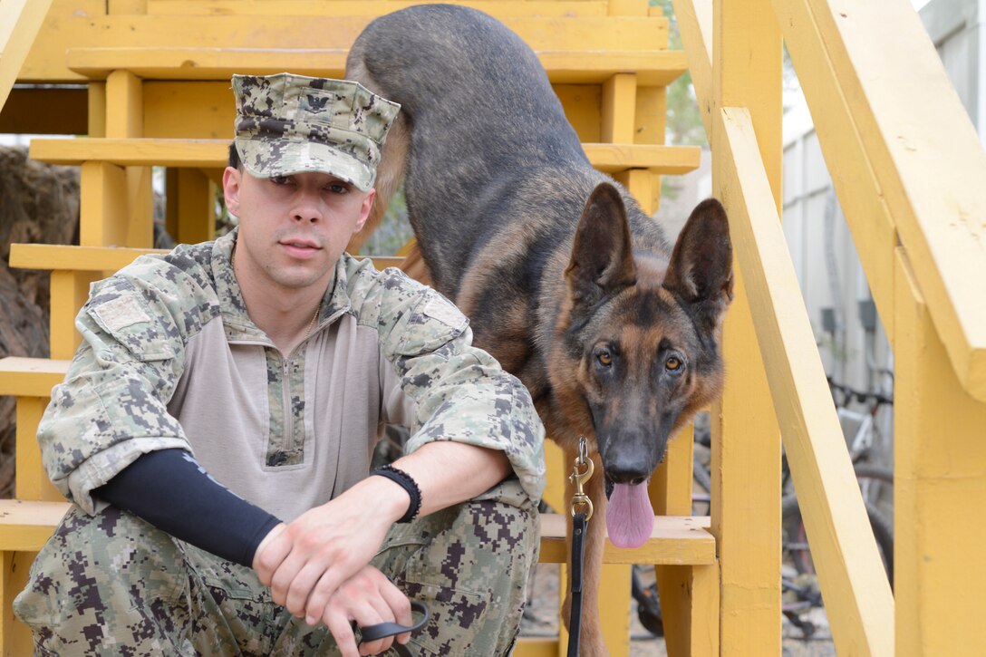 A petty officer and his military working dog sit on some steps as they pose for a picture.