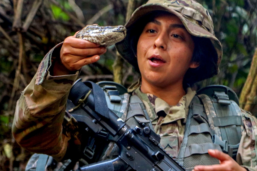 A soldier examines the head of a python.