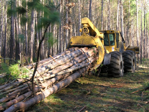 Loggers conduct a sustainable timber harvest on Joint Base Charleston - Weapons Station’s managed forest lands.