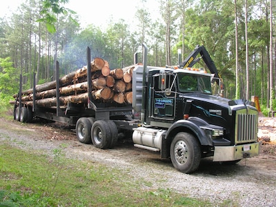 Loggers conduct a sustainable timber harvest on Joint Base Charleston - Weapons Station’s managed forest lands.