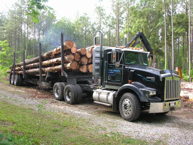 Loggers conduct a sustainable timber harvest on Joint Base Charleston - Weapons Station’s managed forest lands.