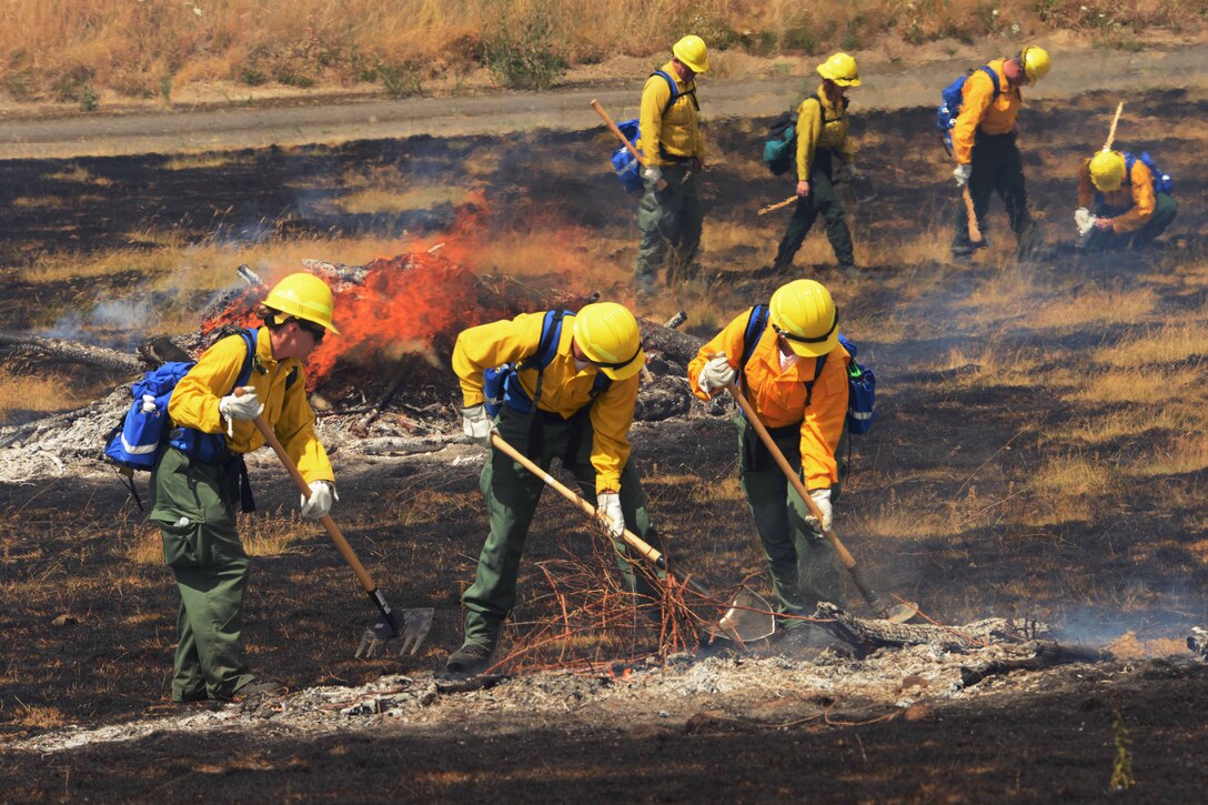 Soldiers use shovels and brush rakes while practicing to contain a wildland fire.