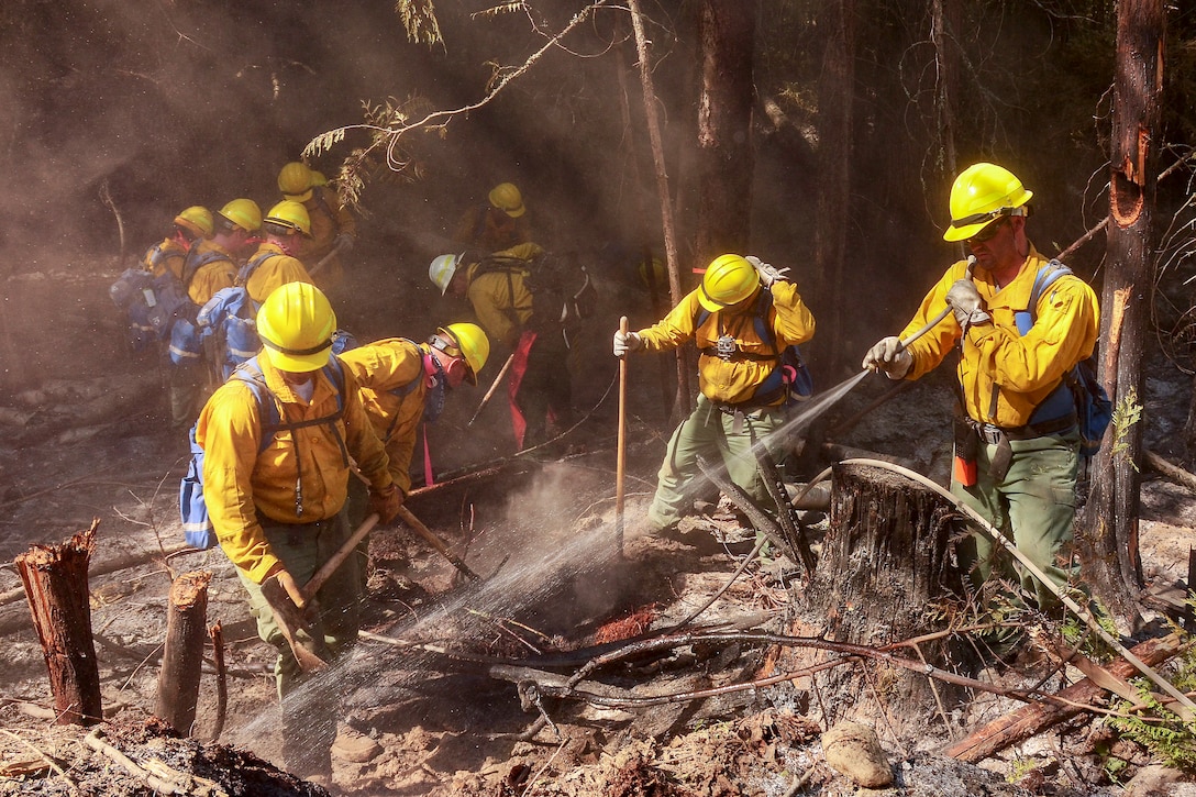 Airmen work together to fight a forest fire.