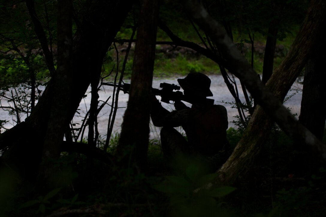 U.S. Marine Corps Cpl. Andrew Adkins, a heavy equipment operator with Marine Wing Support Squadron 171, provides security during a patrol, part of Exercise Eagle Wrath 18, at Combined Arms Training Center Camp Fuji, Japan, July 18, 2018. Eagle Wrath is an annual training exercise designed to increase squadron proficiency in a forward operating environment, test forward command and control structure, and practice for real-world contingency missions.