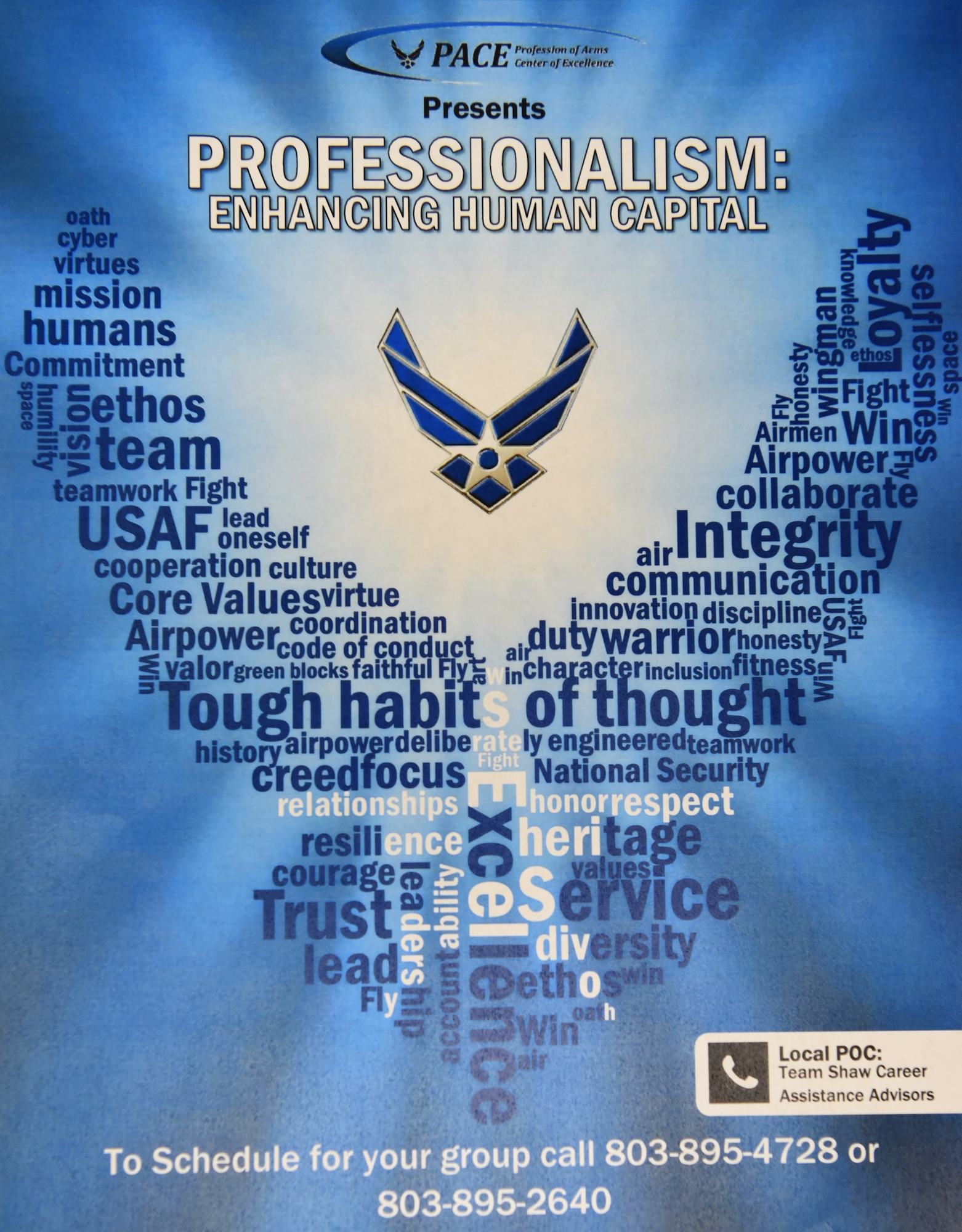 Career assistance advisors (CAA) provide service members with professional development and personalized counseling, and have developed a Commissioning Mentorship Panel allowing enlisted Airmen the opportunity to speak with officers who were once enlisted.