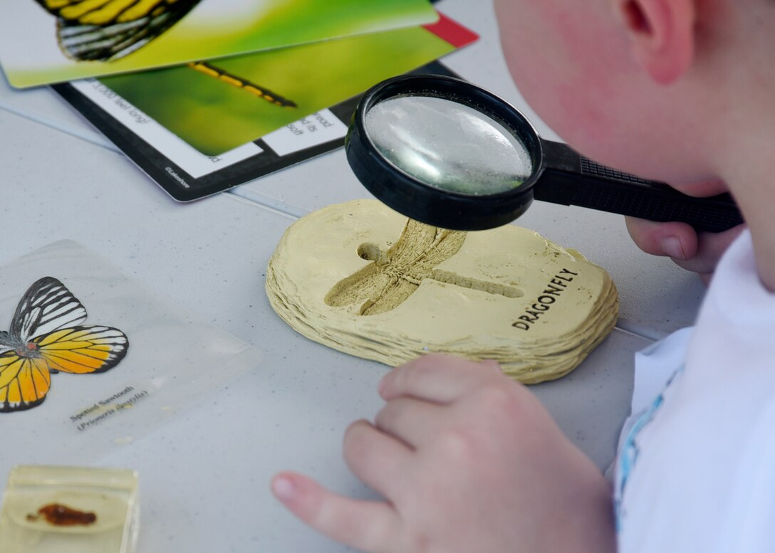 Cooper Mathewson examines a dragonfly cast with a magnifying glass during the 7th Annual Exceptional Family Member Program Summer Camp Experience at Joint Base Andrews, Md., Aug. 7, 2018. Campers completed guided STEM activities, including an elephant toothpaste science experiment, examining the contents of a science box and building a marble maze. (U.S. Air Force photo by Senior Airman Abby L. Richardson)