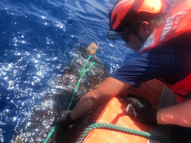 A Coast Guard Cutter Hamilton boat crew rescues an olive ridley sea turtle from abandoned fishing nets and line July 10, 2018, in the Eastern Pacific Ocean. The boat crew cut the turtle free and removed the debris from the ocean.