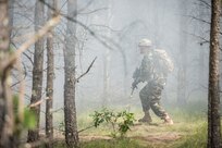 Guardian Attack at CSTX-86-18-02