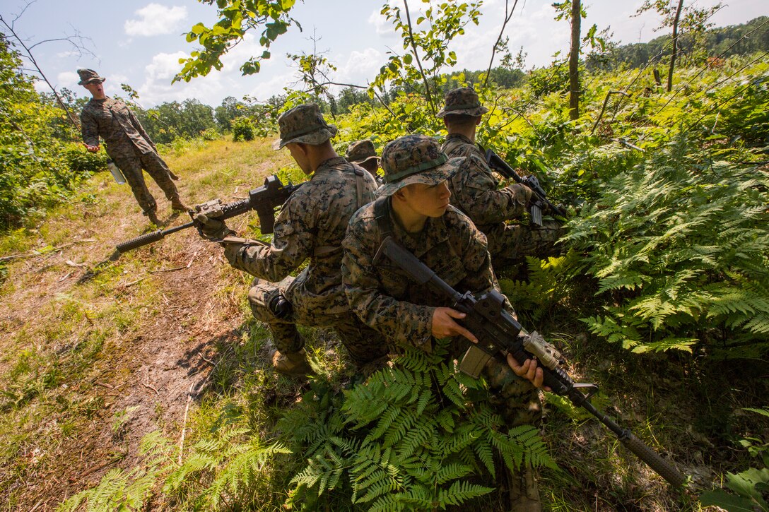Scout snipers with 3rd Battalion, 25th Marine Regiment, post 360-degree security before practicing crossing a danger zone during Exercise Northern Strike at Camp Grayling, Mich., Aug. 11, 2018. Exercise Northern Strike is a National Guard Bureau-sponsored training exercise that unites service members from multiple branches, states and coalition countries to conduct combined ground and air combat operations. (U.S. Marine Corps photo by Cpl. Niles Lee)