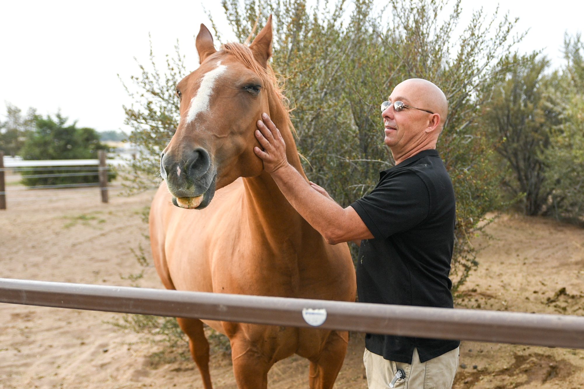 Sgt. 1st Class Ray Fleming, U.S. Army Recruiting in Ogden, boards his horse, Trigger, at the Outdoor Recreation horse stables on Hill Air Force Base. Fleming has been boarding his horse for 4 years. (U.S. Air Force photo by Cynthia Griggs)