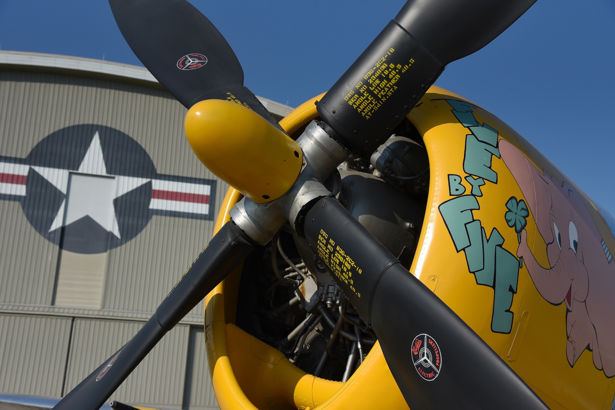 A view of the Republic P-47D (Bubble Canopy Version) before restoration crews at the National Museum of the U.S. Air Force moved the aircraft into the WWII Gallery on Aug. 14, 2018. Several WWII era aircraft on display were temporarily placed throughout the museum to provide adequate space for the Memphis Belle exhibit opening events. (U.S. Air Force photo by Ken LaRock)