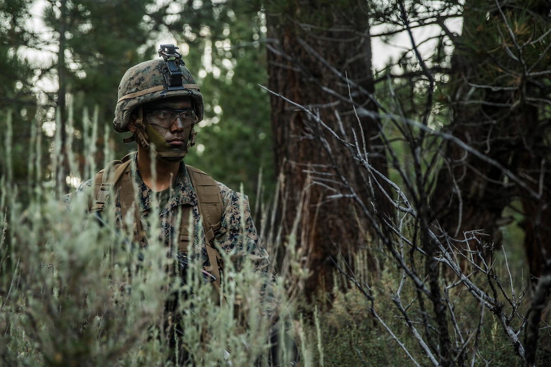 Lance Cpl. Alfredo Arredondo, a rifleman with India Company, 3rd Battalion, 5th Marine Regiment, 1st Marine Division, holds position during a hike during Mountain Training Exercise 4-18 aboard Mountain Warfare Training Center Bridgeport, Calif., July 30, 2018.
