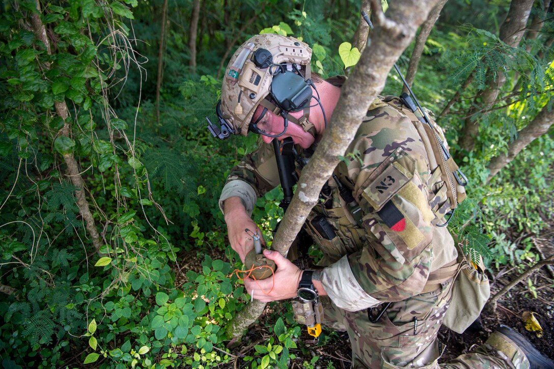 A U.S. sailor removes a training grenade from a tree.