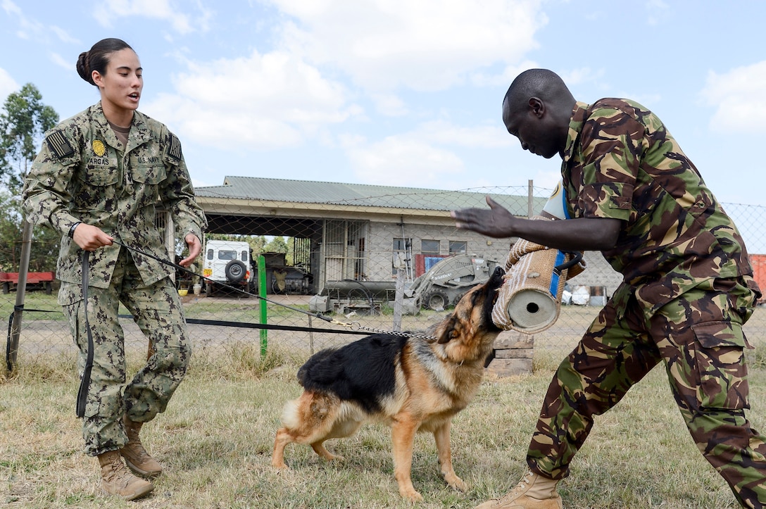 Navy Petty Officer 1st Class Kristina Vargas, a master-at-arms and the Camp Lemonnier, Djibouti, kennel master, and Kenya army Cpl. Junior Kimani, 1st Canine Regiment, conduct controlled aggression training during a military working dog information exchange in Nairobi, Kenya, Aug. 7, 2018. The exchange gave American and Kenyan dog handlers a chance to learn from and work with each other to have a better understanding of each other's capabilities. Navy photo by Petty Officer 2nd Class Timothy M. Ahearn