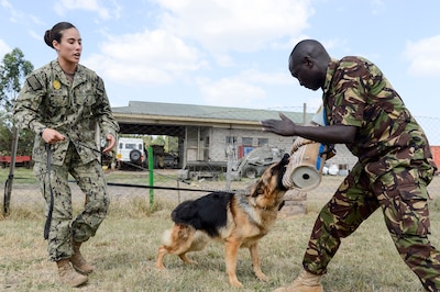 U.S., Kenyan Military Dog Handlers Share Knowledge, Experience