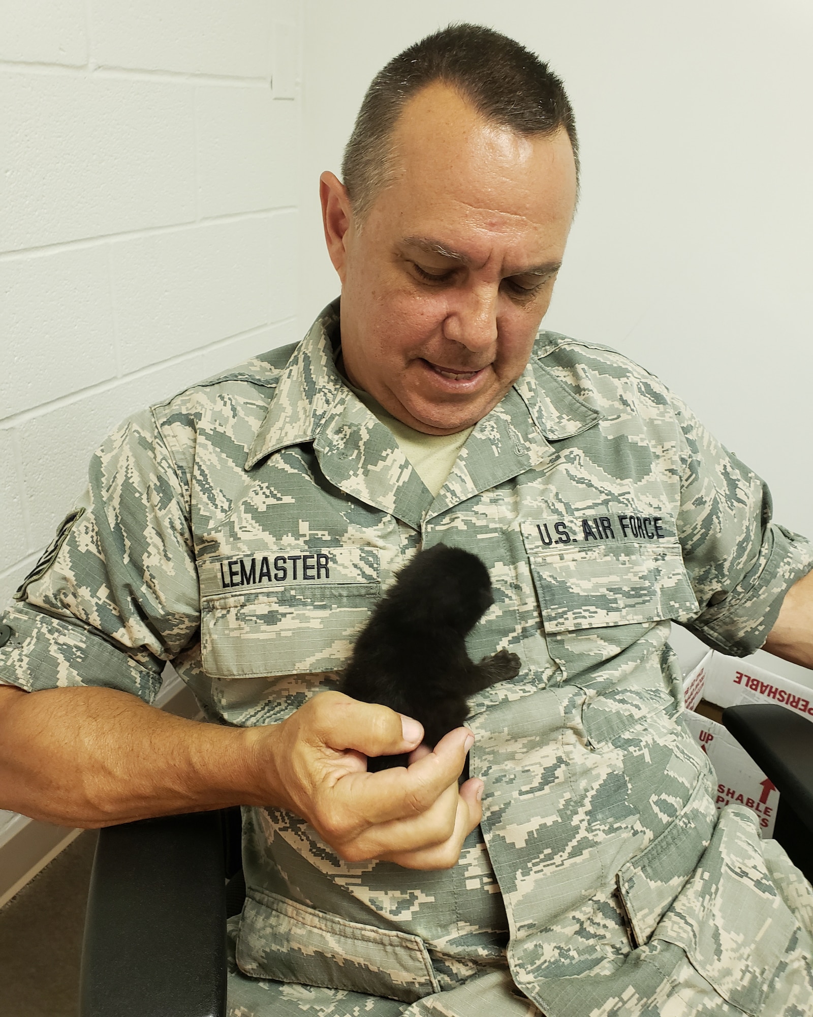 Tech. Sgt. Darryl LeMaster, a crew chief for the 167th Airlift Wing, holds a kitten that he found on the flight line while supervising an aircraft refueling at the Martinsburg, W.Va. air base, June 19. The kitten had fallen off of a refueling truck as a fuel hose was pulled from its reel. Three other kittens were found inside the hose reel on the truck. The kittens eventually found homes with 167th AW Airmen.