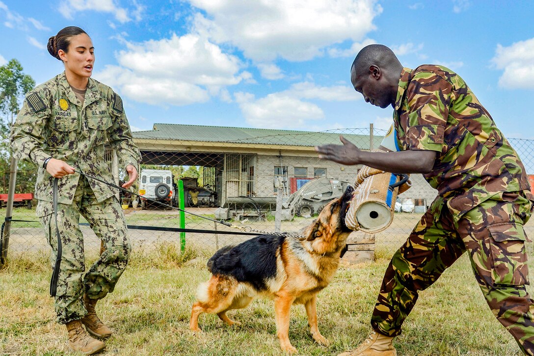 A sailor controls a dog on a leash as it bites special padding on a Kenyan soldier's arm.