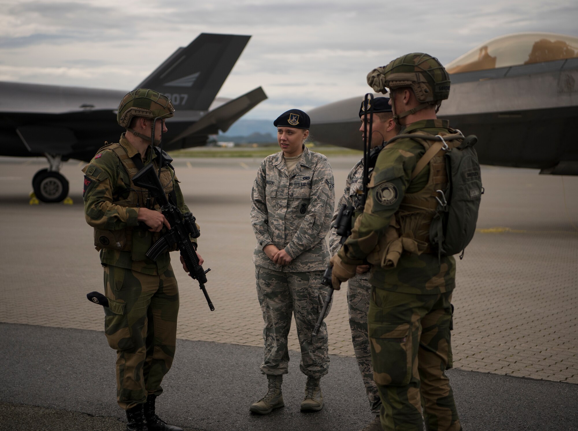 F-22s train with Royal Norwegian air force