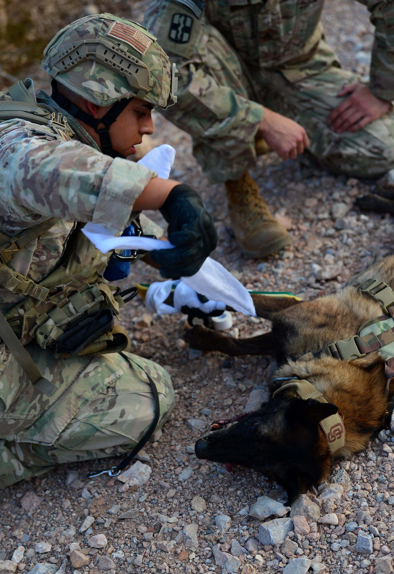 Staff Sgt. Juan Hinojosa, 99th Security Forces Squadron military working dog handler secures a splint to Erik, 99th SFS MWD, during a training exercise Aug. 8, 2018, at Nellis Air Force Base, Nev. The exercise included a trail of possible dangers, a “live” gunfire situation and ended with an injury scenario where handlers had to apply their veterinary knowledge. (U.S. Air Force Photo by Airman 1st Class Haley Stevens)
