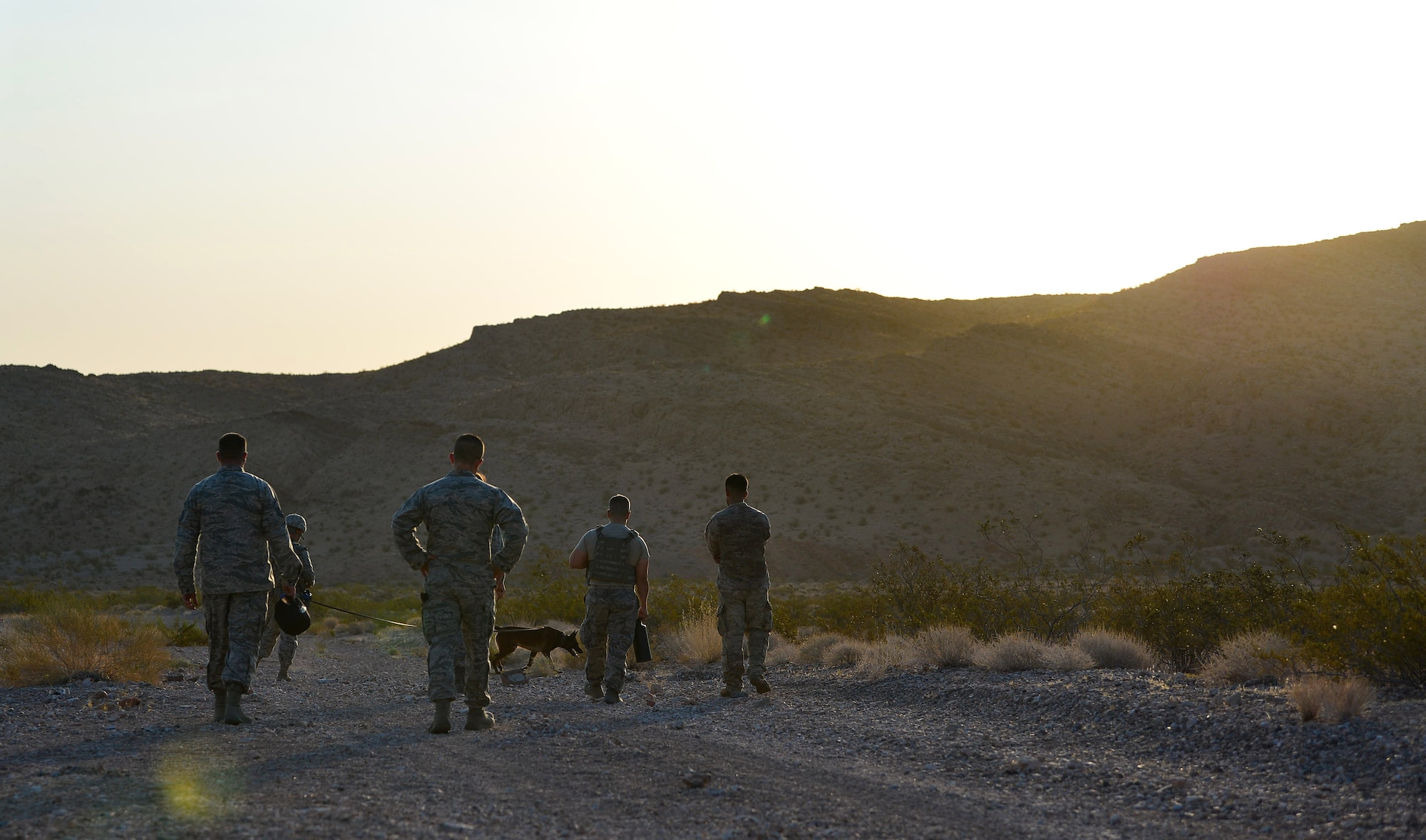 Creech and Nellis Air Force Base military working dog teams prepare for a training exercise Aug. 8, 2018, at Nellis Air Force Base, Nev. This was the first integrated combat readiness training with teams from both bases of its kind. (U.S. Air Force Photo by Airman 1st Class Haley Stevens)