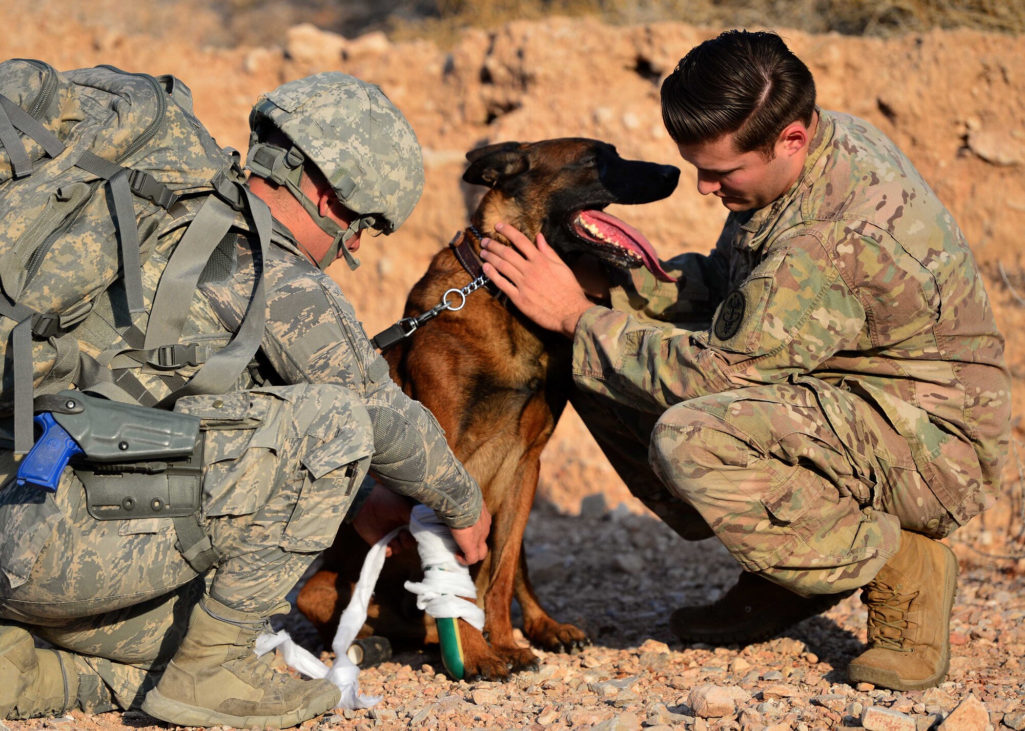 Senior Airman Elijah, 799th Security Forces Squadron military working dog handler (left), and U.S. Army Sgt. Robert Ward, Public Health Activity – Hood, Mojave Branch veterinary technician (right), treat Ssamuel, 799th SFS MWD (center), for a simulated injury during a training exercise Aug. 8, 2018, at Nellis Air Force Base, Nev. Along with various detection responsibilities, handlers must be able to provide medical aid when their MWD suffers from wounds or injuries. (U.S. Air Force Photo by Airman 1st Class Haley Stevens)