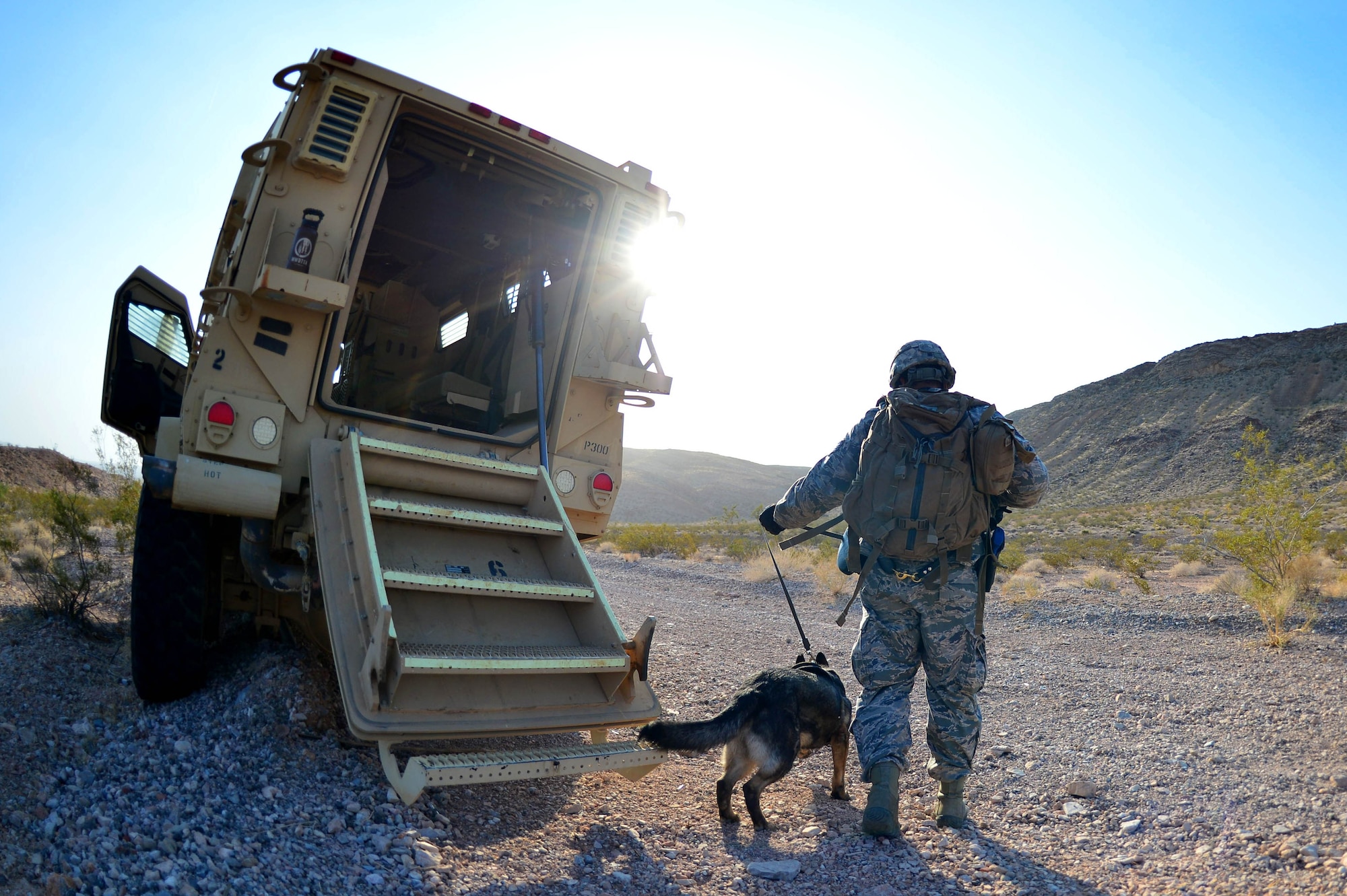 Senior Airman Kannyd, 799th Security Forces Squadron military working dog handler and Csoka, 799th SFS MWD, begin a training exercise Aug. 8, 2018, at Nellis Air Force Base, Nev. These teams are made of a K-9 MWD, their handler and a spotter to ensure the safety of the previous two. (U.S. Air Force Photo by Airman 1st Class Haley Stevens)