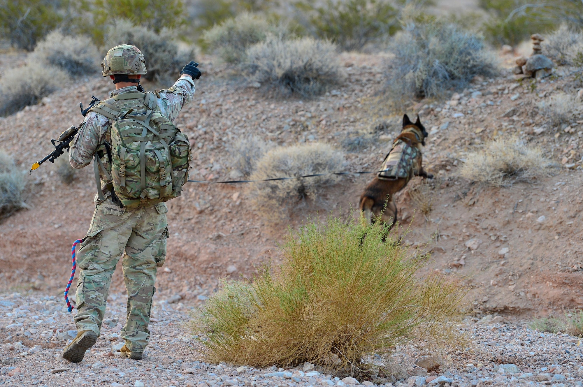 Staff Sgt. Juan Hinojosa, 99th Security Forces Squadron military working dog handler and Erik, 99th SFS MWD, check a rock marker during a training exercise Aug. 8, 2018, at Nellis Air Force Base, Nev. This training helps MWD teams practice their jobs in real-world scenarios. (U.S. Air Force Photo by Airman 1st Class Haley Stevens)