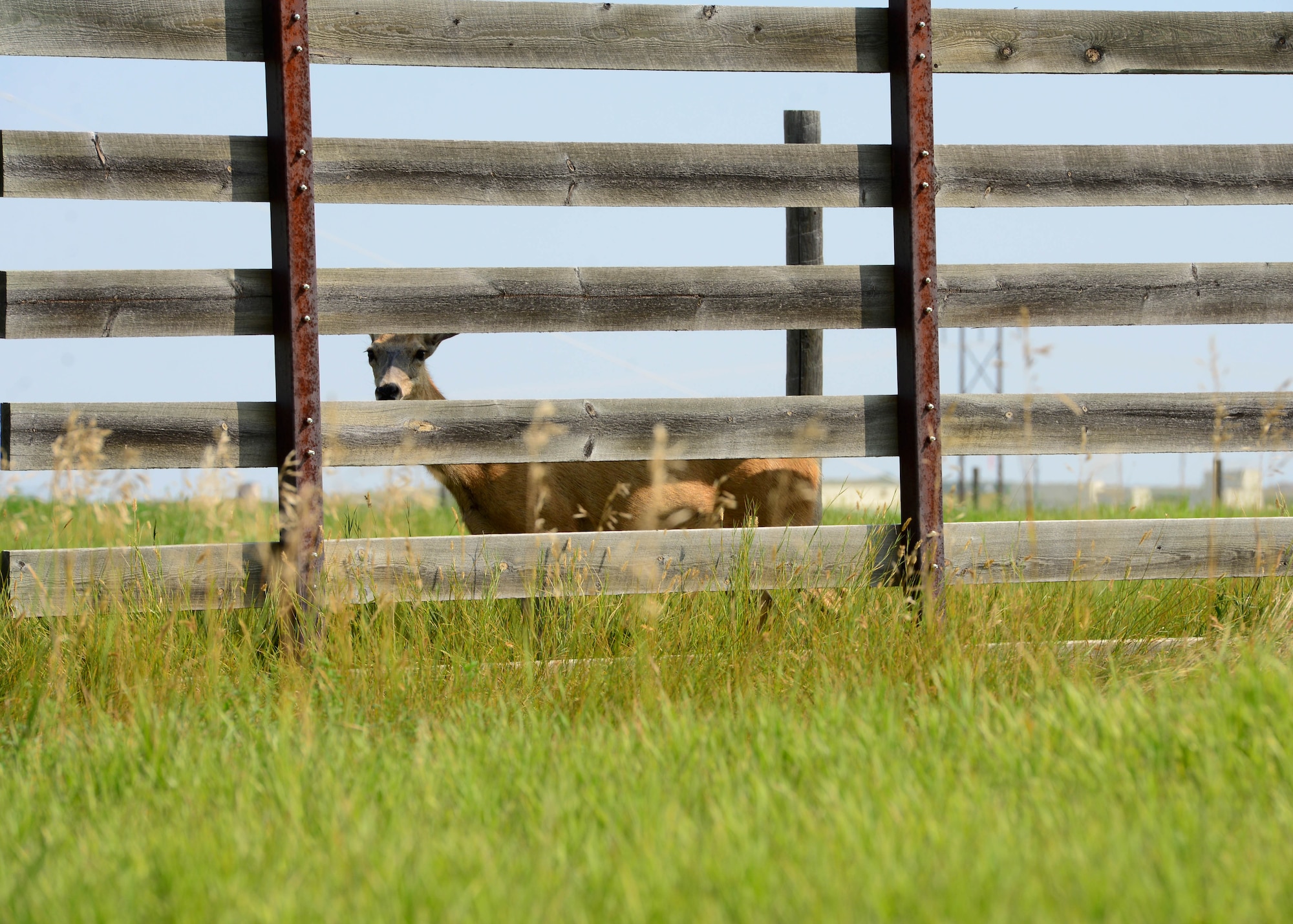 Ellsworth Air Force Base, S.D., will soon begin its 2018 on-base archery deer season, which gives those with base access the opportunity to apply for a deer hunting license. Doing this helps control the deer population on base, but also allows a recreation opportunity for Airmen. (U.S. Air Force photo by Senior Airman Denise Jenson)