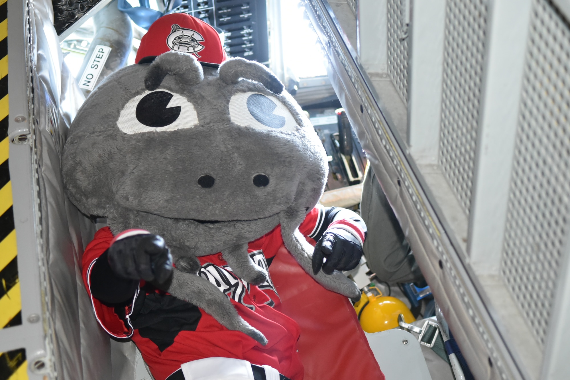 Muddy the Mudcat, the official mascot of the Carolina Mudcats flew in a KC-135R Stratotanker Thursday, Aug. 16, 2018, at Seymour Johnson Air Force Base, North Carolina. (U.S. Air Force photo by Jeramy Moore)