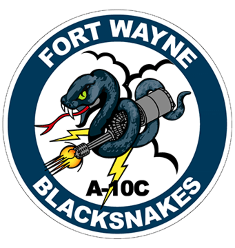 122nd Fighter Wing Unit Patch