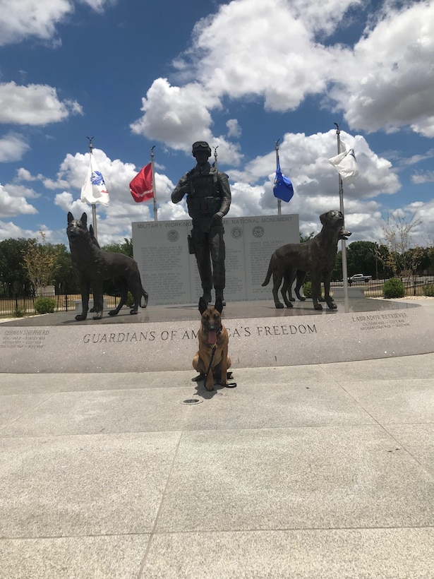 A police K-9 sits in front of a national monument honoring military working dogs.