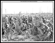 77th Division in the Meuse-Argonne, 15 Oct 1918