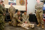 Service members take part in canine casualty care training.
