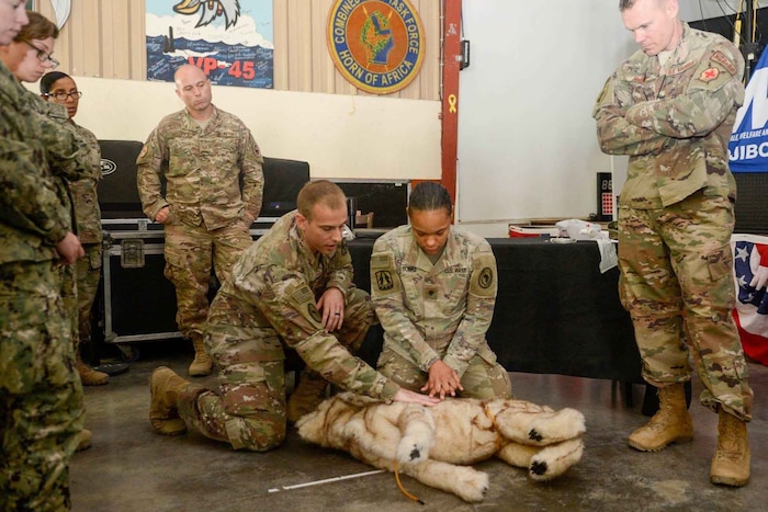 A group of service members watch as military veterinarians train them on caring for a fake dog.