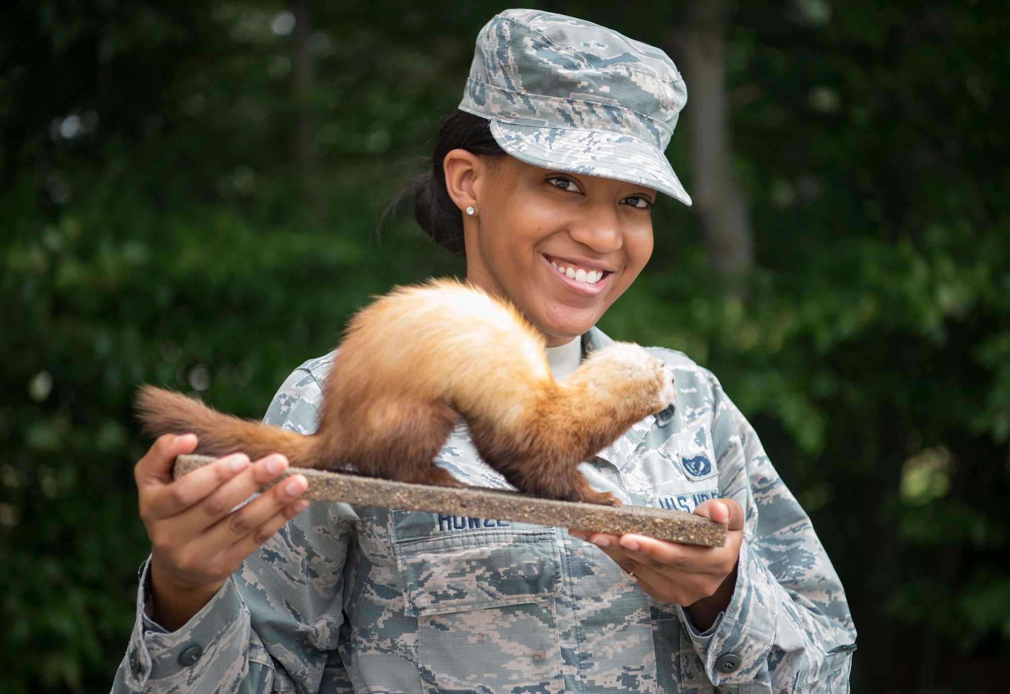 U.S. Air Force Senior Airman Arielle Howze, 786th Civil Engineer Squadron Pest Management technician, displays a preserved stone marten on Ramstein Air Base, Germany, Aug. 7, 2018. Pest Management does not kill pests like stone martens, which are protected, but relocates them to a safe habitat. (U.S. Air Force photo by Senior Airman Elizabeth Baker)