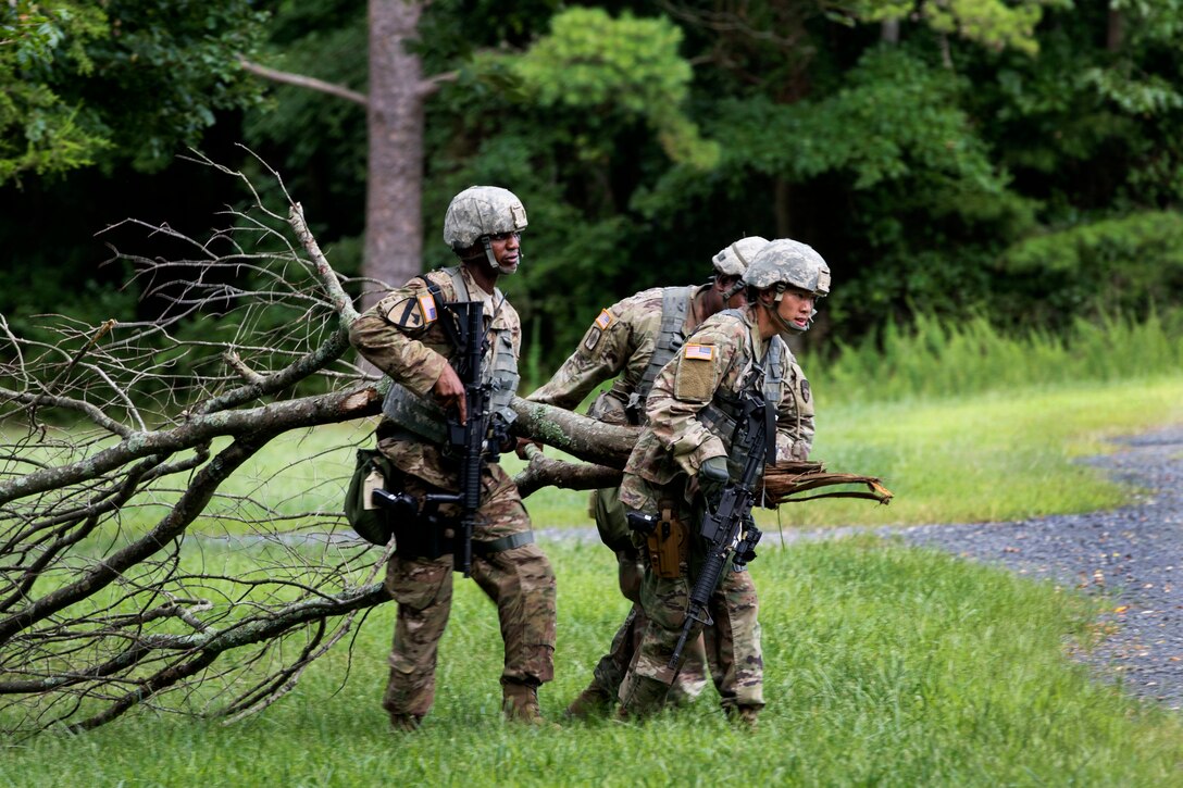 Soldiers drag a tree limb to use as camouflage.