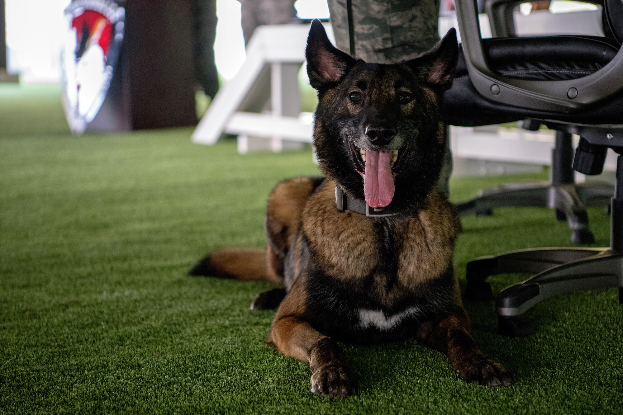 MWD Max retires