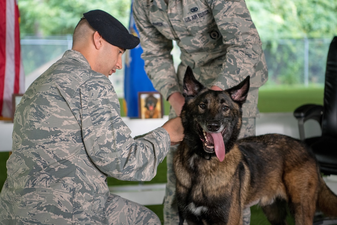 MWD Max retires