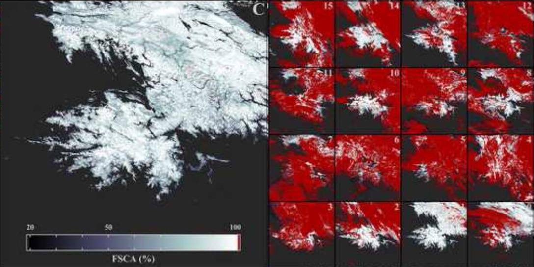 Remote snow assessment