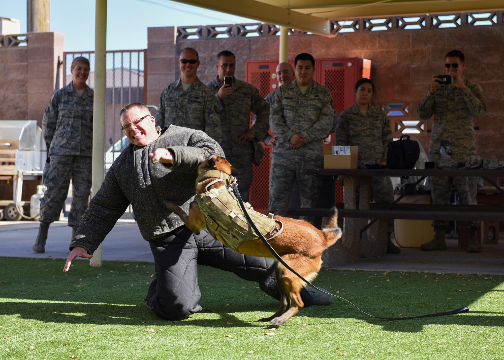 Airmen from units across the U.S. Air Force Warfare Center observe a K-9 display for the Warrior Stripe program at Nellis Air Force Base, Nevada, Aug. 16, 2018. The students were pulled from the Warfare Center and its supporting units. (U.S. Air Force photo by Airman 1st Class Andrew D. Sarver)