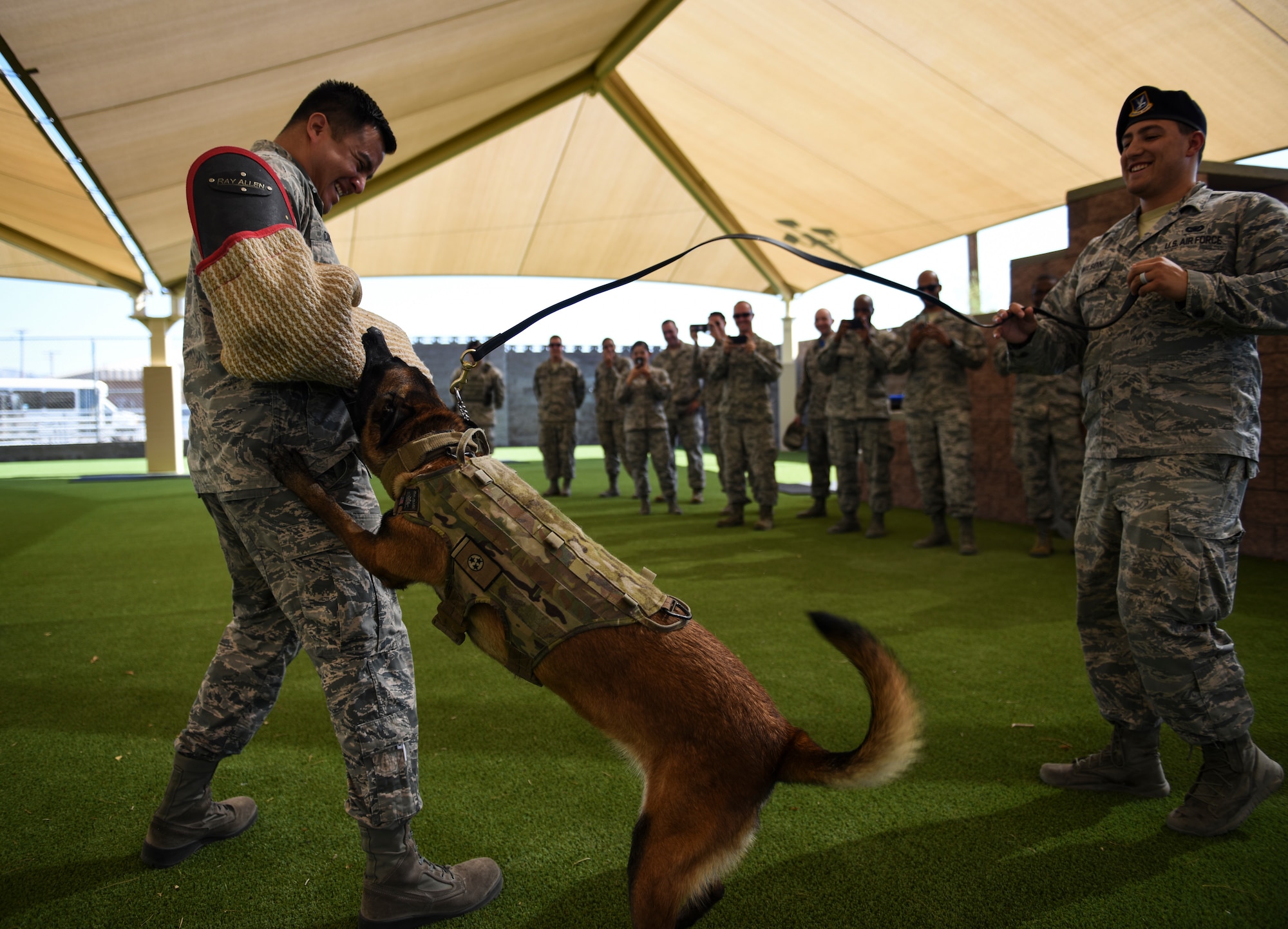 Staff Sgt. Ryne Wilson, 99th Security Forces Squadron military working dog handler, and his K-9, Sseneca, perform a demonstration on Tech. Sgt. Randy Corrasco, 926th Wing quality assurance inspector, for the Warrior Stripe program at Nellis Air Force Base, Nevada, Aug. 17, 2018. The two-week course brought together 40 U.S. Air Force Warfare Center NCOs to provide an avenue for them to develop as military and professional leaders. (U.S. Air Force photo by Airman 1st Class Andrew D. Sarver)