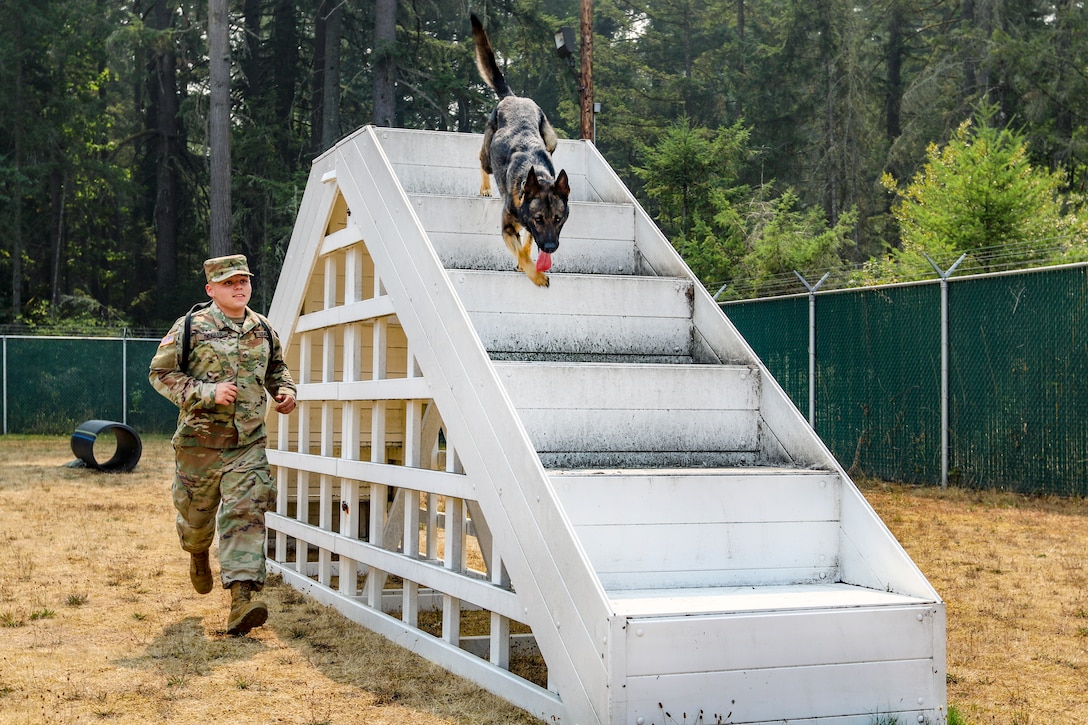 A soldier runs next to a dog on an obedience course.