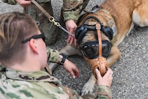 5th SFS MWDs fly with 54th Helicopter Squadron