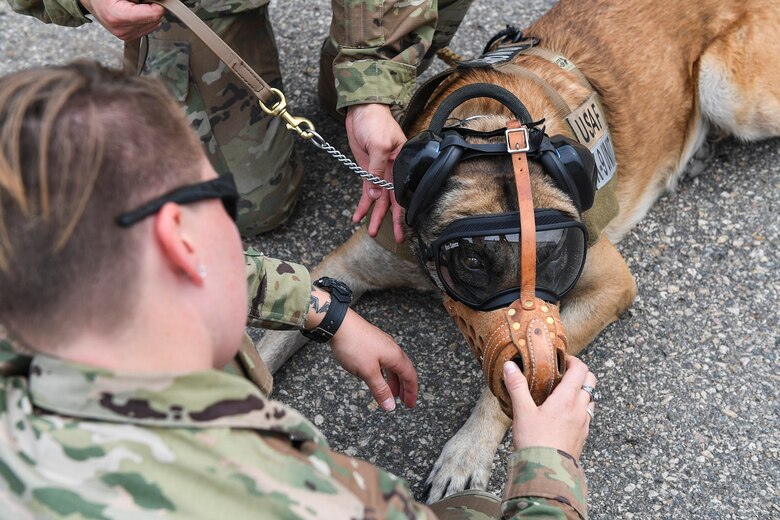 5th SFS MWDs fly with 54th Helicopter Squadron
