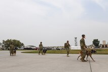5th SFS MWDs fly with 54th Helicopter Squadron