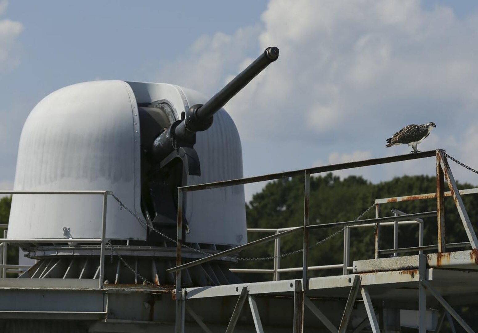 IMAGE: An osprey perches near one of the artillery pieces used at the Potomac River Test Range at Dahlgren. NSWCDD maintains the only fully instrumented test range over water in the nation.