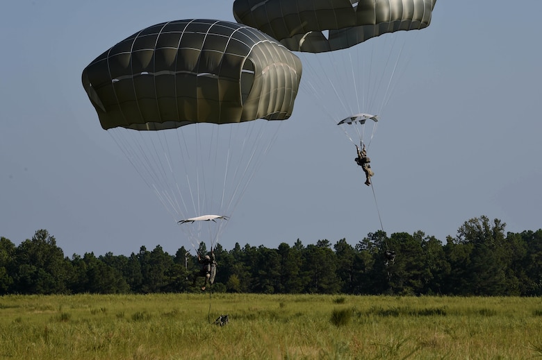 Paratroopers from the 82nd Airborne Division reach the ground after jumping from a C-17 Globemaster III from McChord Field, Wash., during Exercise Predictable Iron at Pope Field, N.C., Aug 23, 2018. The paratroopers participated in the exercise to meet their airborne requirements. (U.S. Air Force photo by Senior Airman Tryphena Mayhugh)